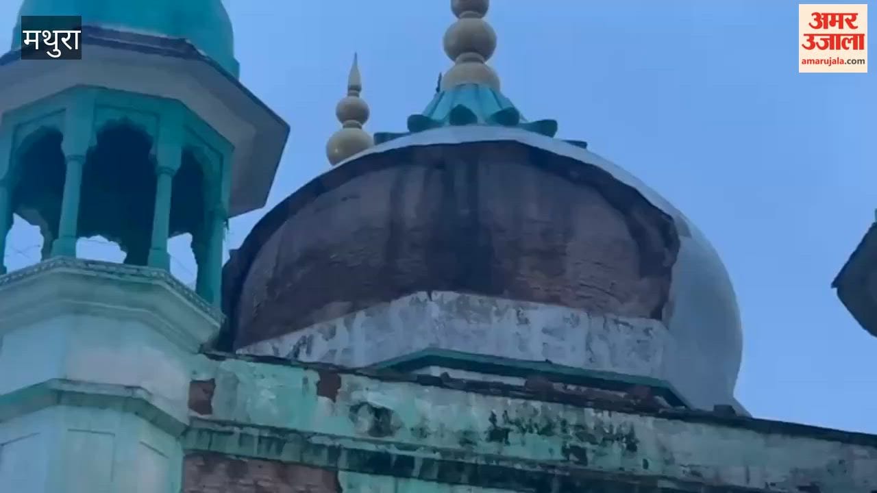 Part of Jama Masjid Dome Collapses During Prayers in Mathura, Major Tragedy Averted