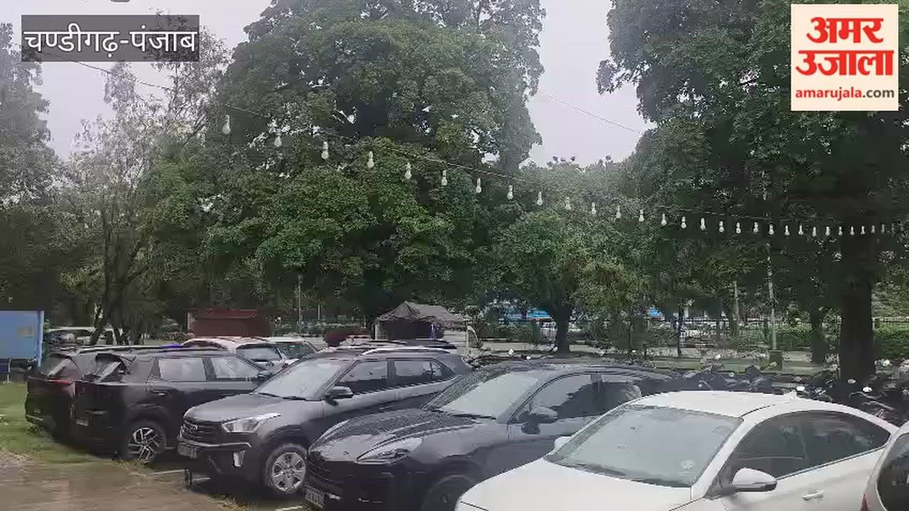 Rain brings coolness to Chandigarh