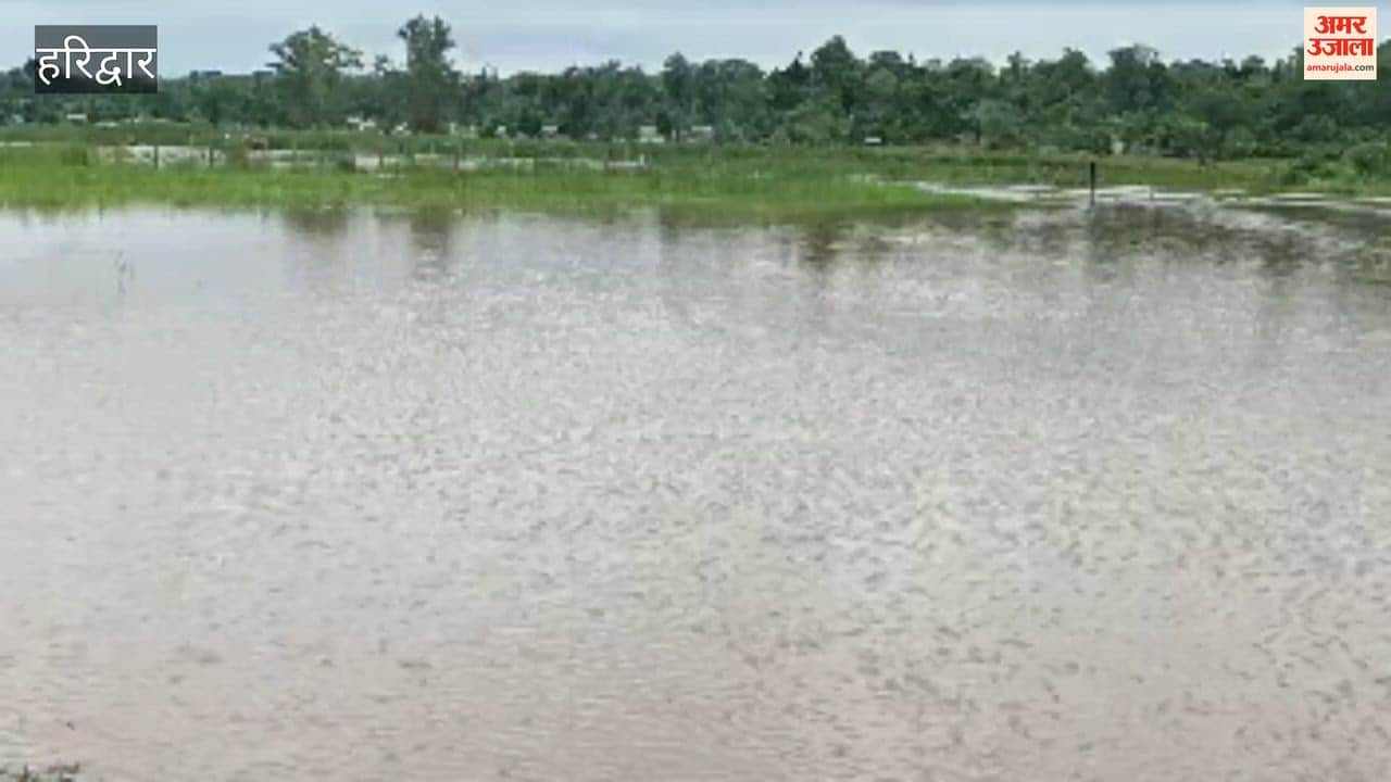 Flood-like conditions in Dudhala Dayalwala village; officials conduct inspection