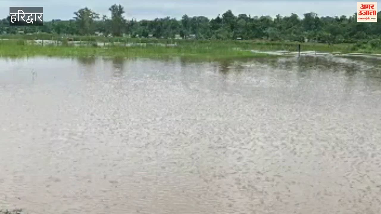 Flood-like conditions in Dudhala Dayalwala village; officials conduct inspection