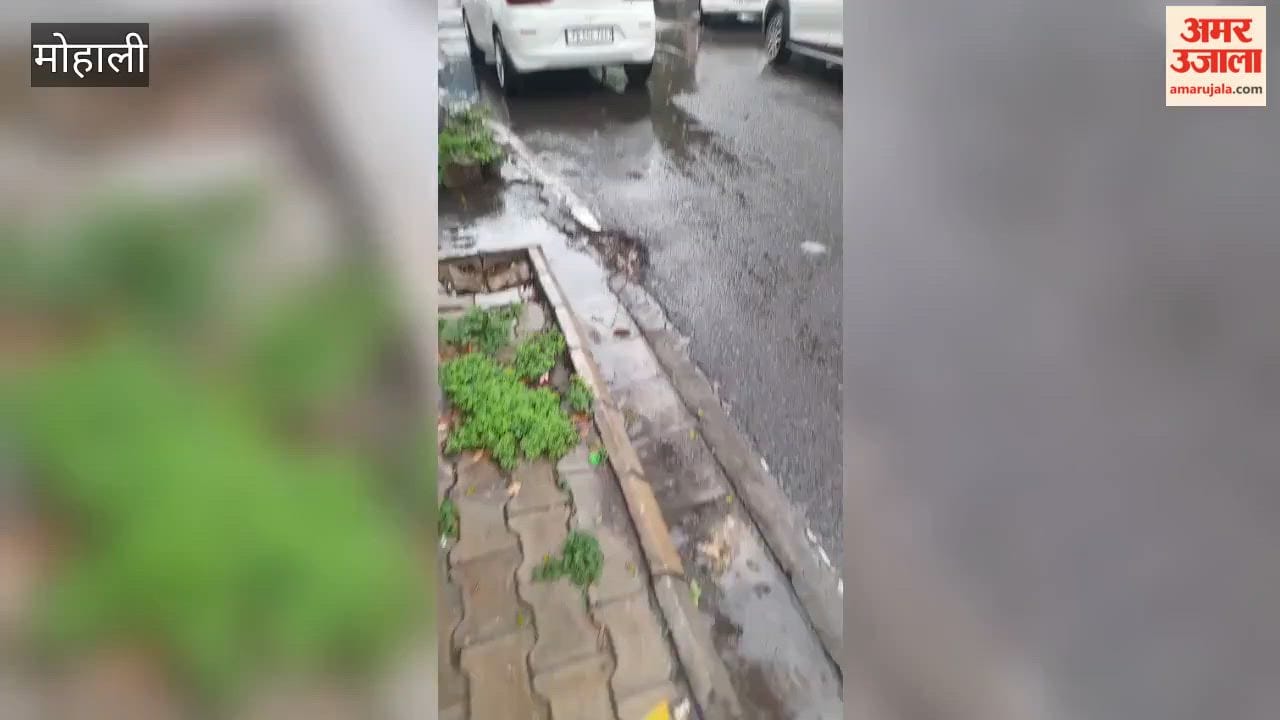 Continuous rain in Mohali leads to waterlogging; roads and parking areas submerged, causing inconvenience to residents