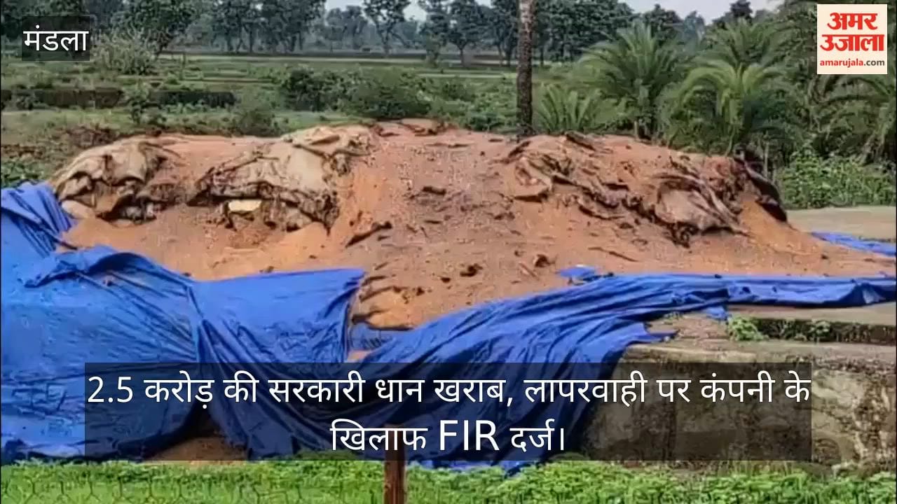 Mandla News: Government Paddy Worth 2.5 Crore Damaged in Open Storage, FIR Filed Against Storage Company