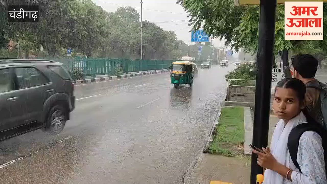 Rain in Chandigarh