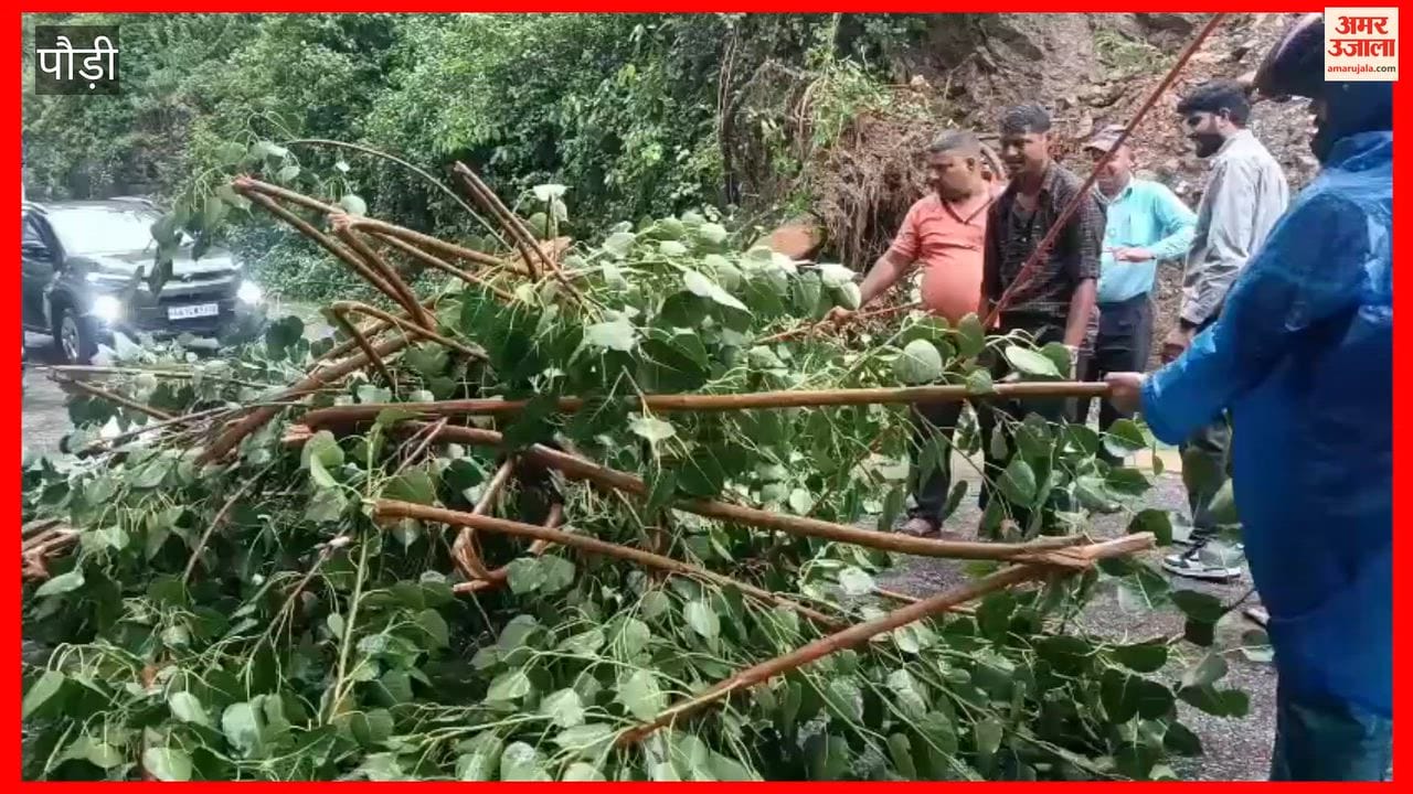 Srinagar: Continuous rain; part of a tree fell on the Pauri motor road, disrupting traffic.