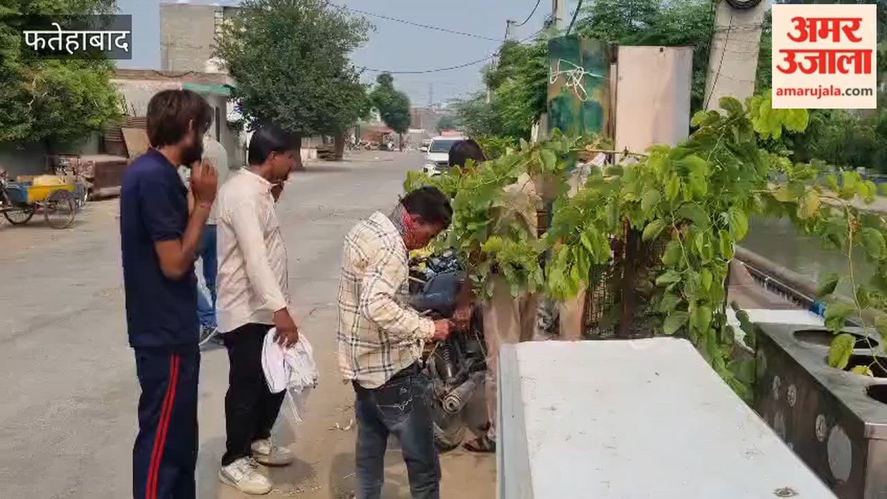 Foul smell from a sack stuck in a canal in Tohana, Fatehabad, reveals hundreds of dead chickens; panic ensues over fears of a human corpse.