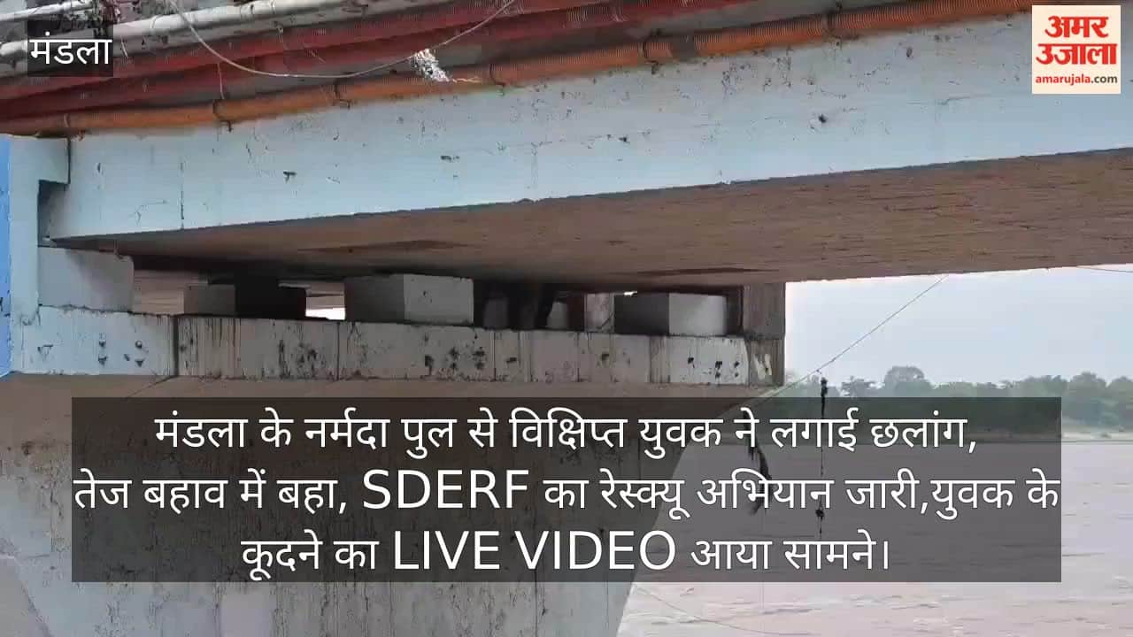 A mentally disturbed youth jumped from the Narmada bridge in Mandla