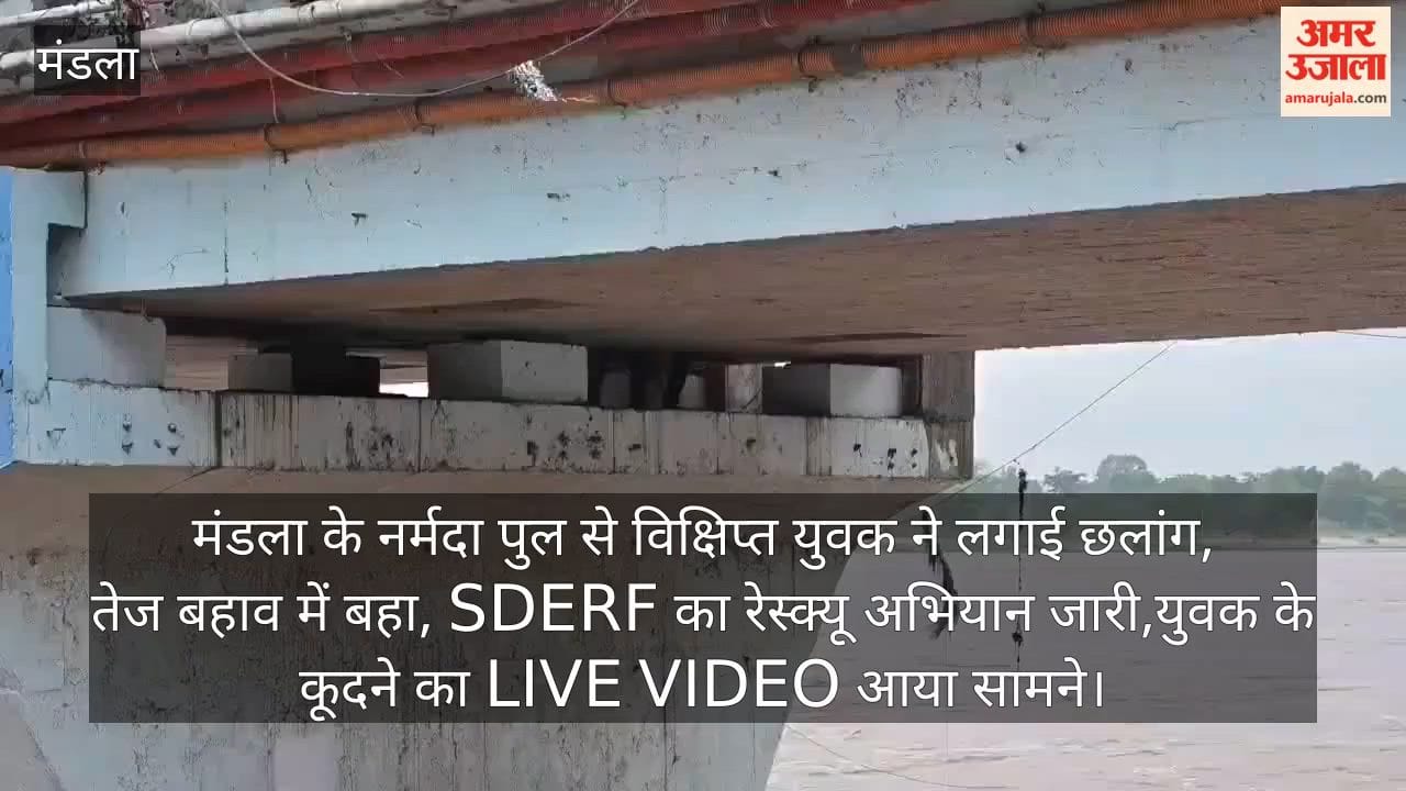 A mentally disturbed youth jumped from the Narmada bridge in Mandla