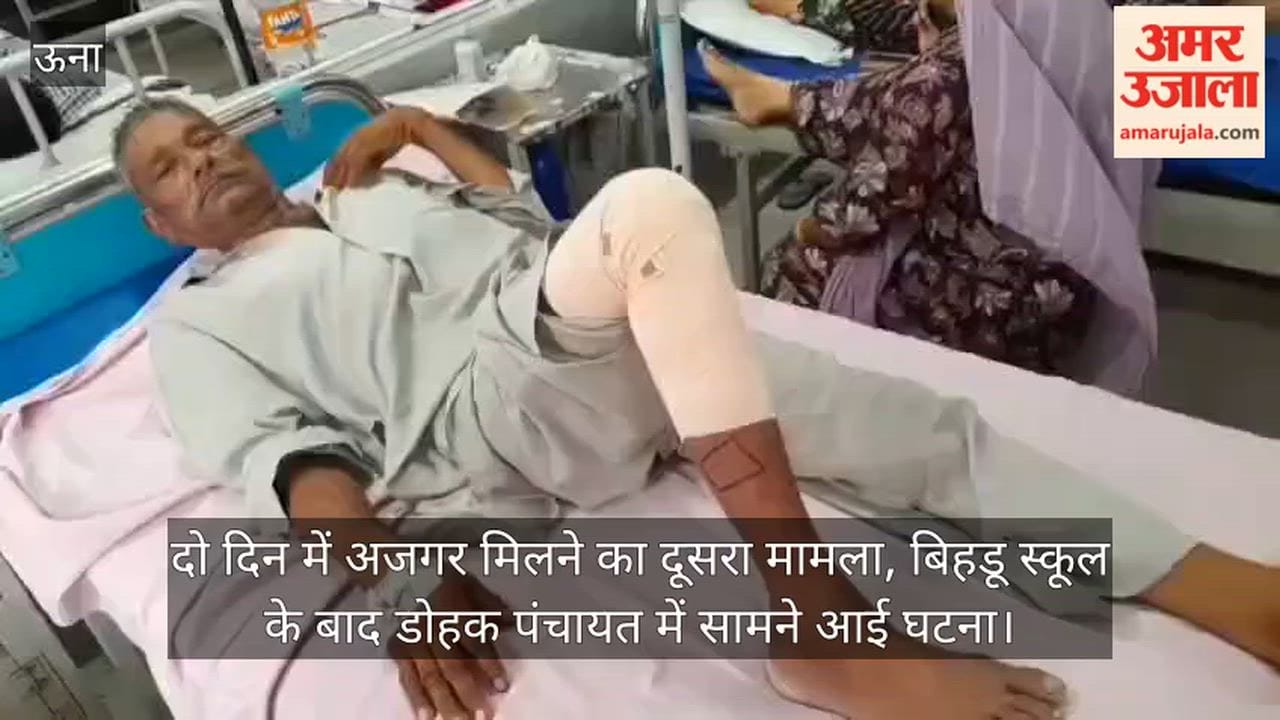 Una News: Python Attacks Man in Bangana, Second Snake Incident in Two Days