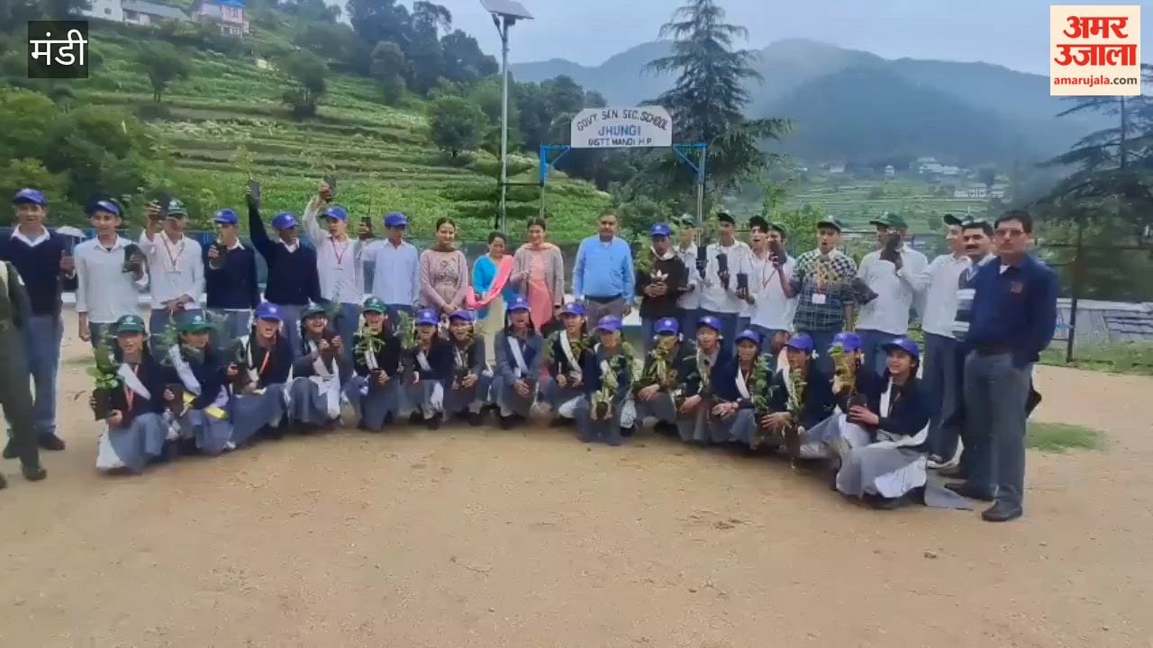 jhungi school against chitta rally plantation drive sundernagar mandi