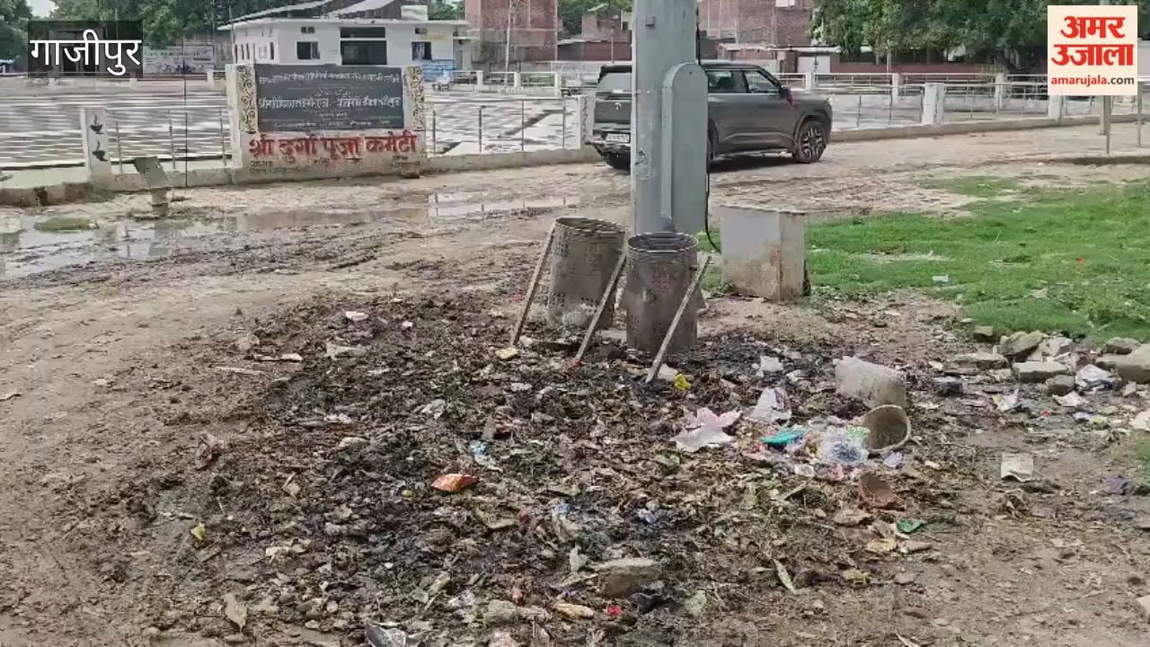 Communicable disease control' exists only on paper; municipal areas littered with trash dumping yards and even dustbins are missing