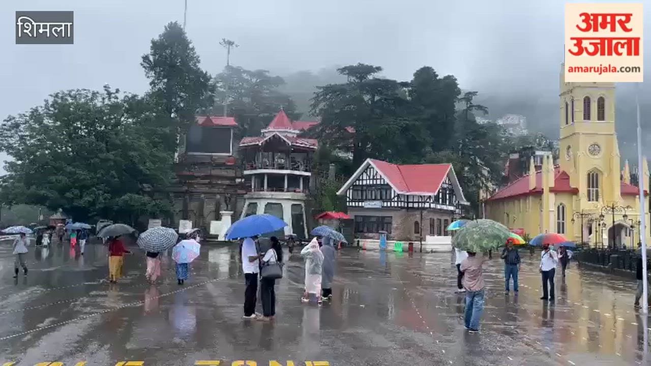 shimla rain on friday weather update july 2026
