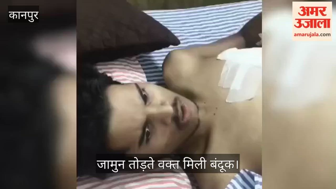 Kanpur Accidental discharge from gun found in forest injures uncle unpaid hospital bill reveals incident