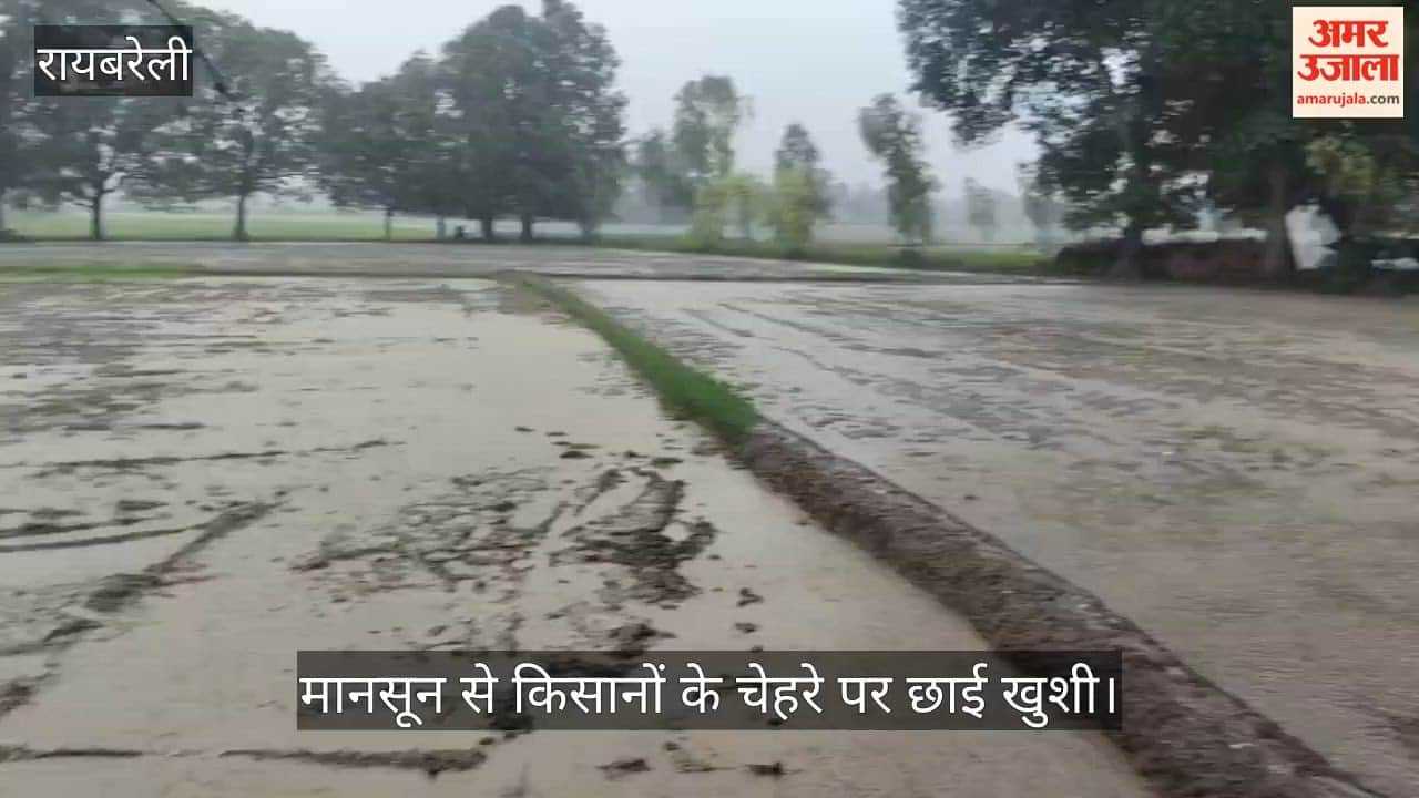 VIDEO: बारिश से धान की रोपाई का काम तेज, मानसून से किसानों के चेहरे पर छाई खुशी