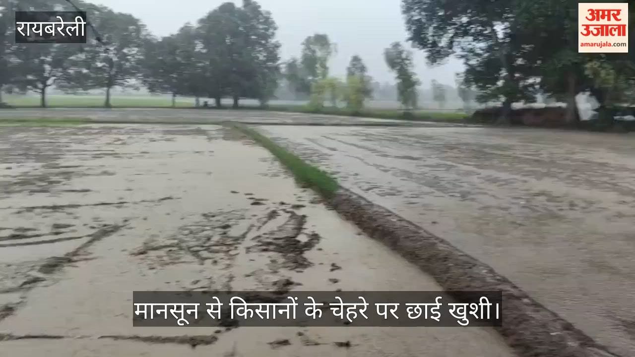 VIDEO: बारिश से धान की रोपाई का काम तेज, मानसून से किसानों के चेहरे पर छाई खुशी