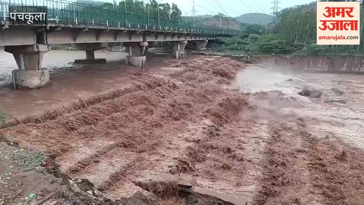 Impact of rain in the hills: Ghaggar River in spate in Panchkula; administration issues alert.