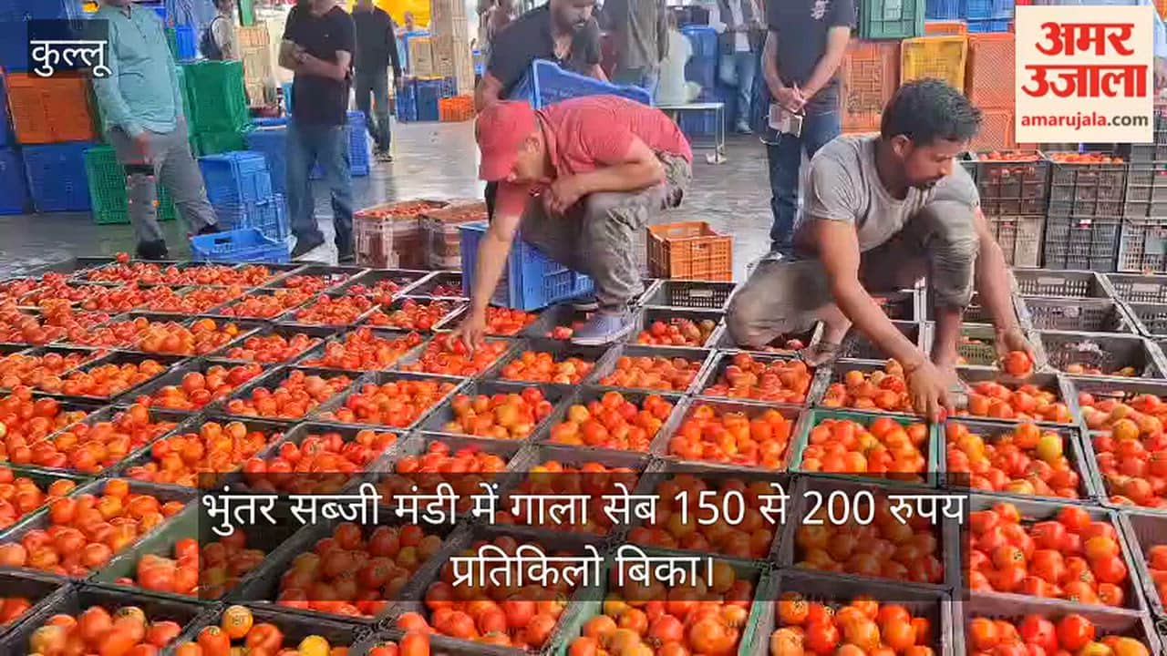 Gala apples were sold at Rs 150 to 200 per kg in Bhuntar vegetable market.