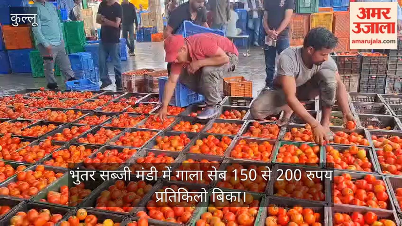 Gala apples were sold at Rs 150 to 200 per kg in Bhuntar vegetable market.