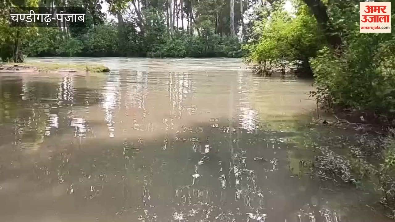 Risk arises as the bank of the Madhopur-Malikpur canal slips; erosion allows canal water to reach the link road.