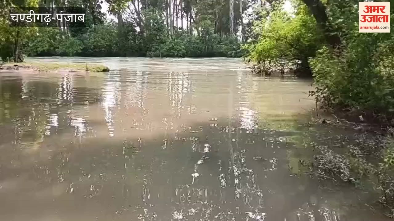 Risk arises as the bank of the Madhopur-Malikpur canal slips; erosion allows canal water to reach the link road.