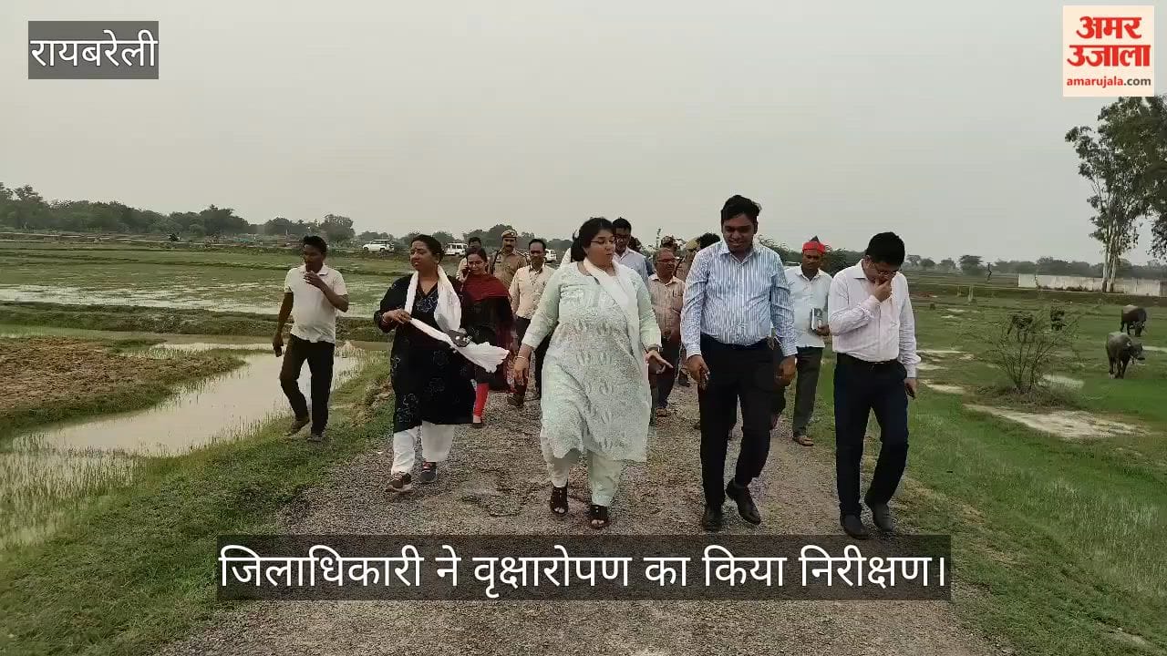 VIDEO: जिलाधिकारी ने दुकनहा में बृहद वृक्षारोपण स्थल का किया निरीक्षण, तैयारियों में तेजी