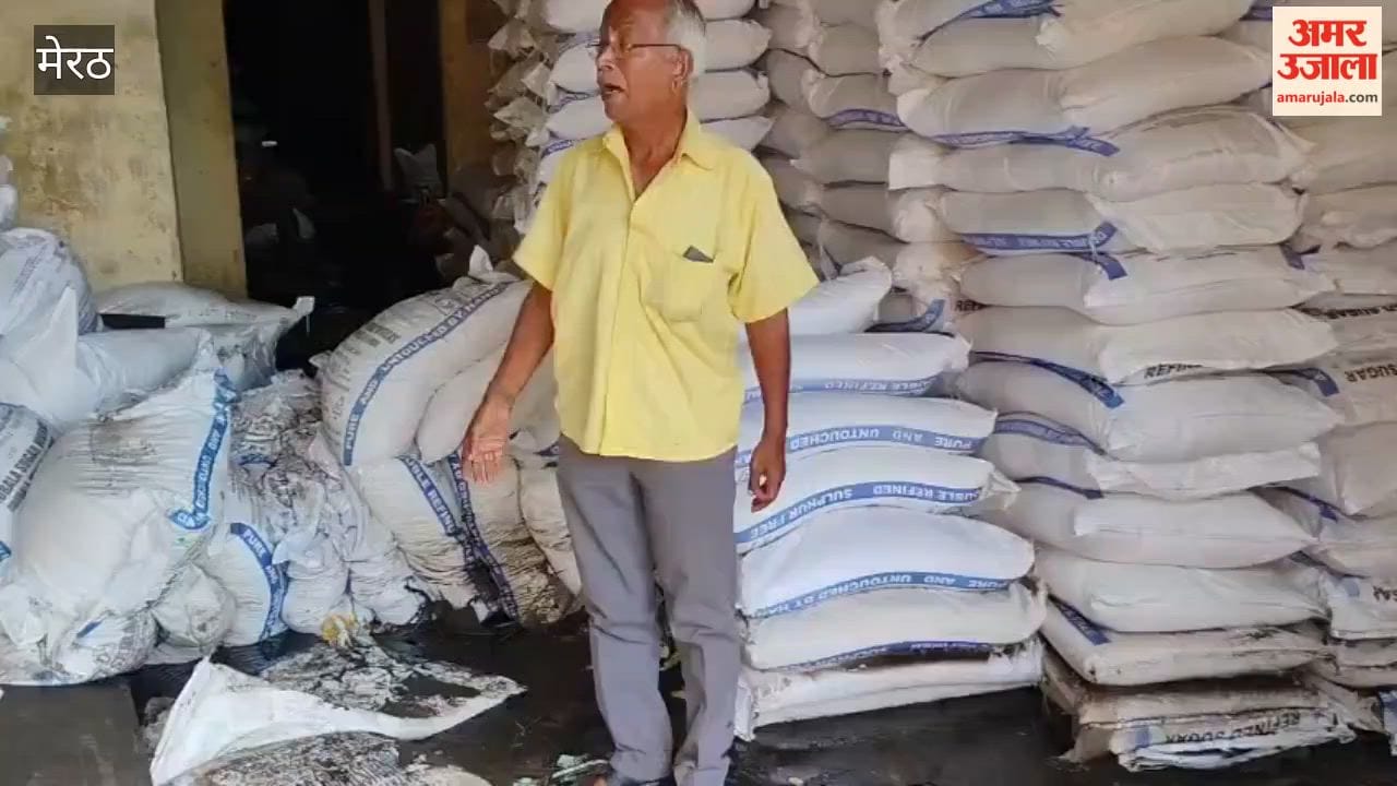 Meerut: Waterlogging Damages Food Grains Worth Crores at Naveen Grain Market