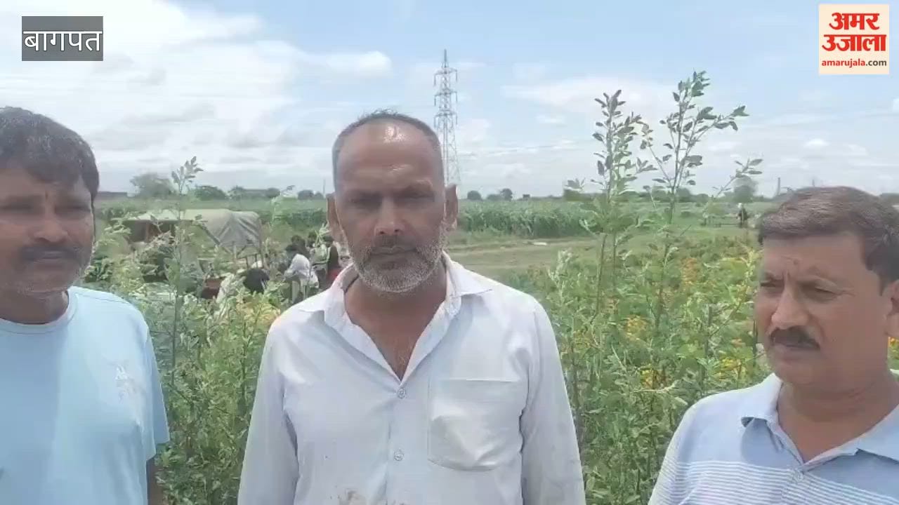Baghpat: Two Farmers Killed as Tractors Overturn While Pulling Out Stuck Vehicle