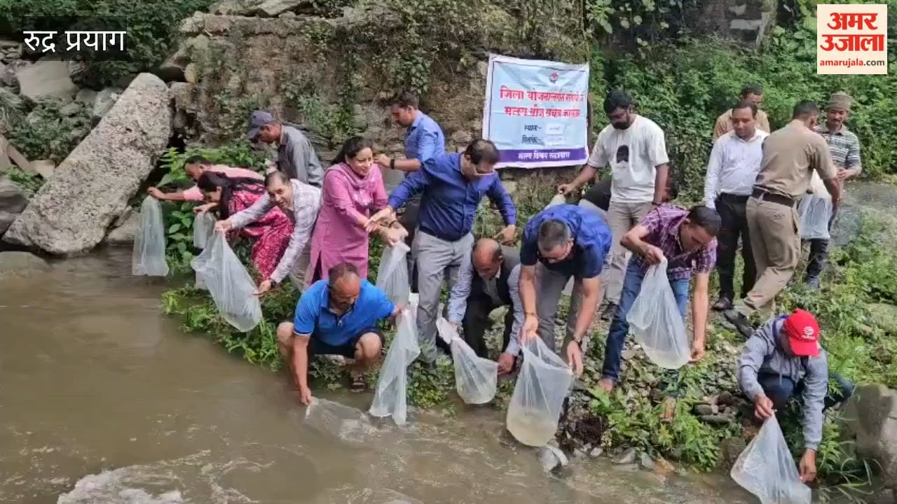 Rudraprayag: 20,000 Mahseer fish seeds released into the Saurgad River