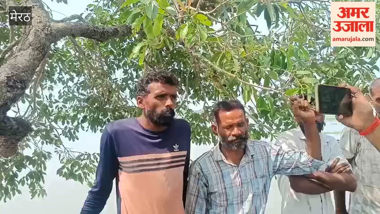 PAC rescues shepherds and 250 sheep and goats trapped in rain water