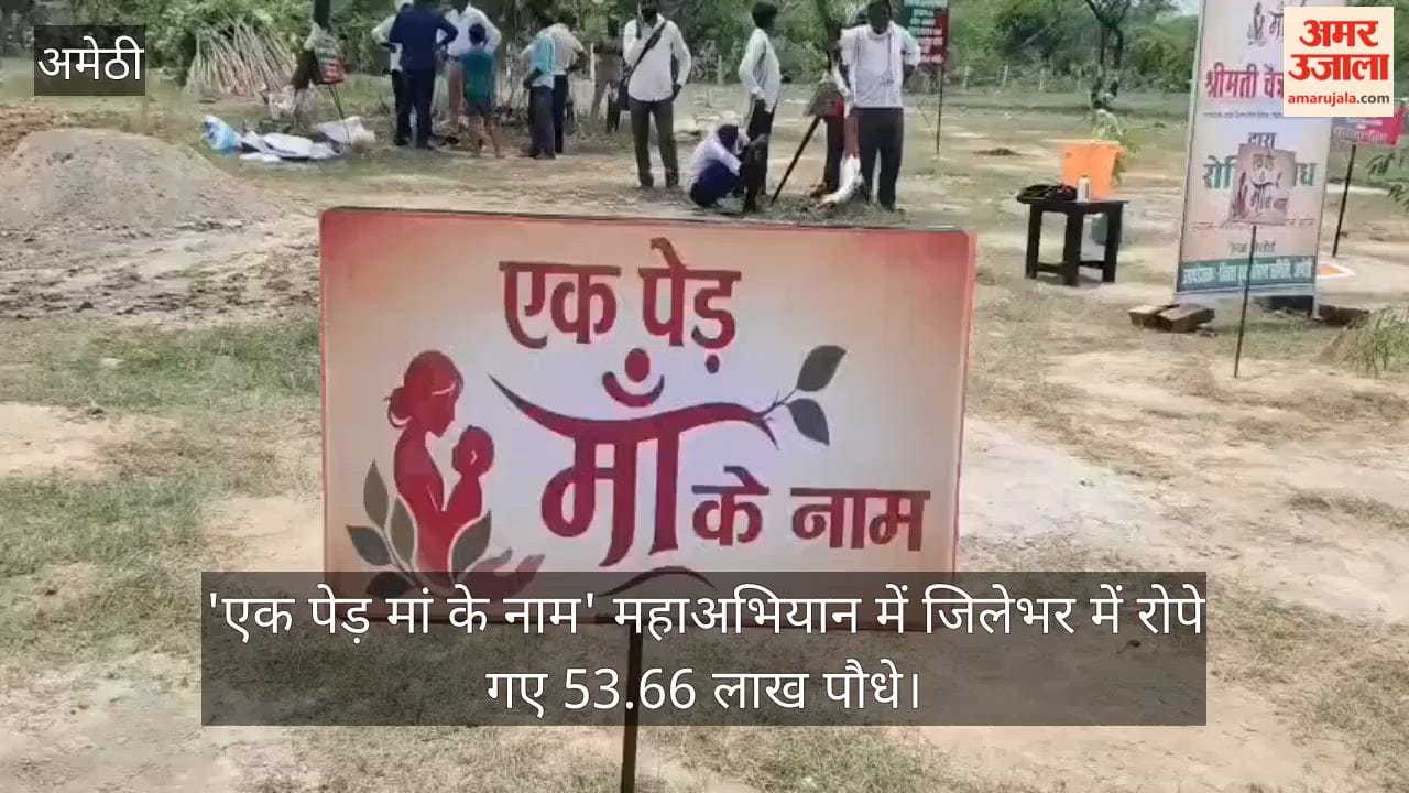 VIDEO: शहर से गांव तक गूंजा संदेश, पौधों के संरक्षण का लिया संकल्प, 'एक पेड़ मां के नाम' महाअभियान जनभागीदारी का उत्सव बना
