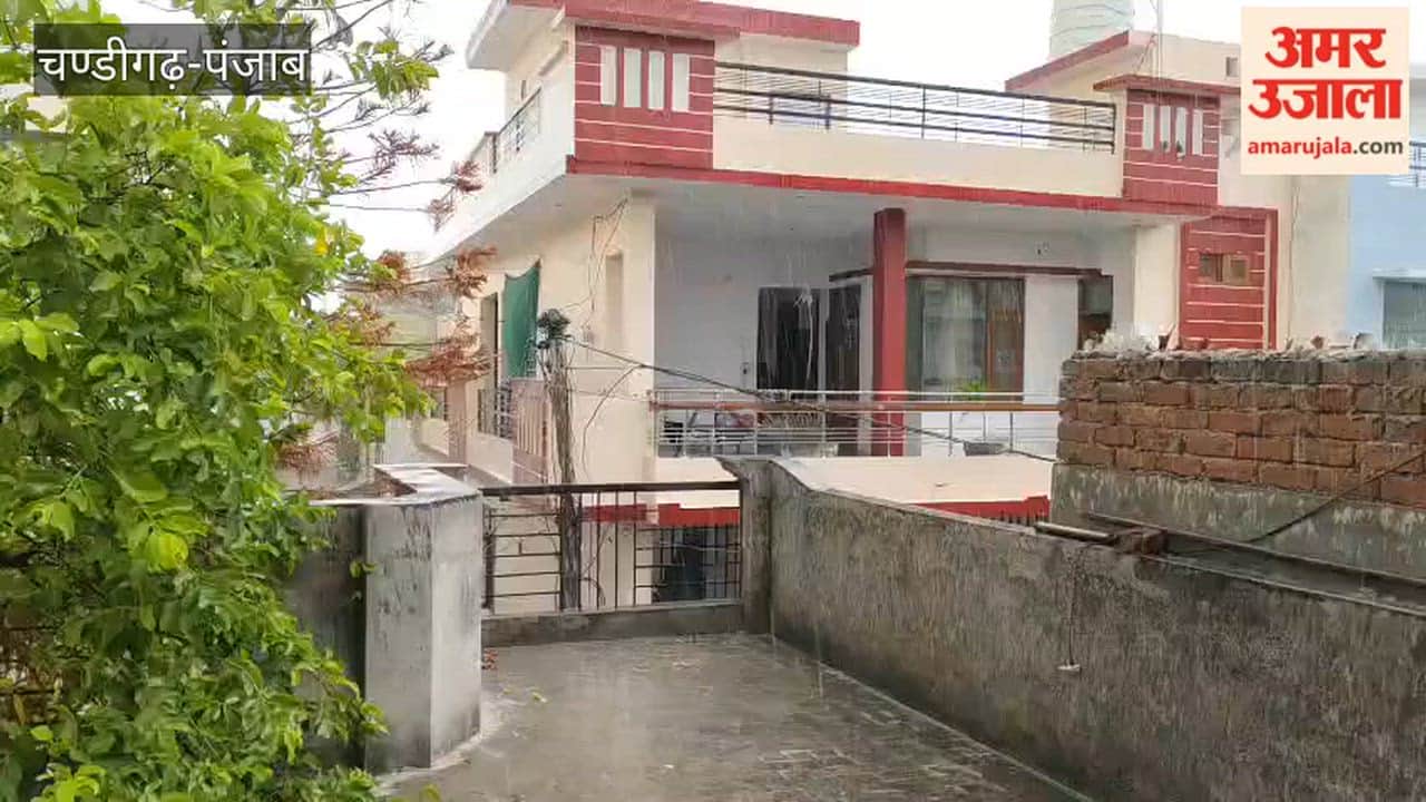 Light rain makes the weather pleasant in Ferozepur