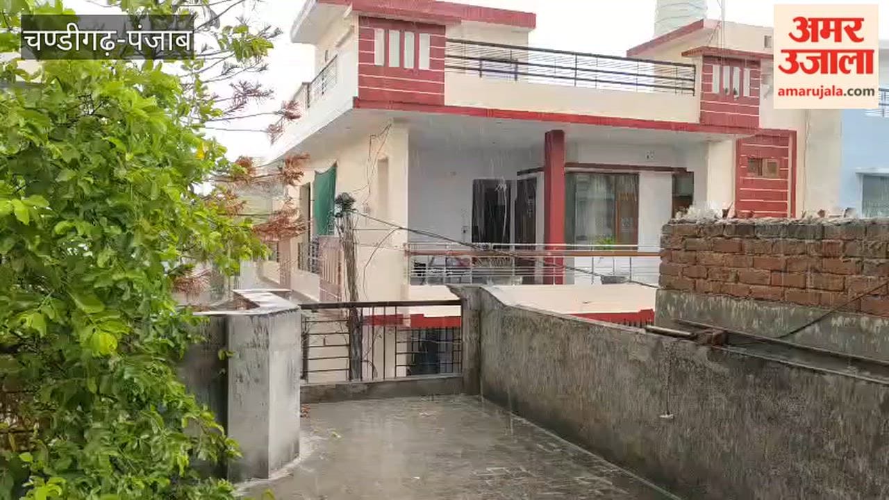 Light rain makes the weather pleasant in Ferozepur