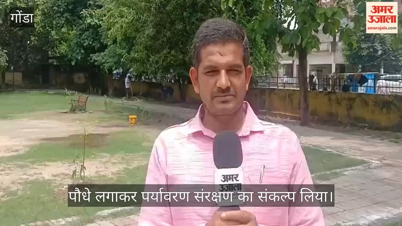 VIDEO : गांधी पार्क से लेकर बसेरिया तक गूंजा हरियाली का संदेश, डीएम व नोडल अधिकारी ने किया पौधरोपण