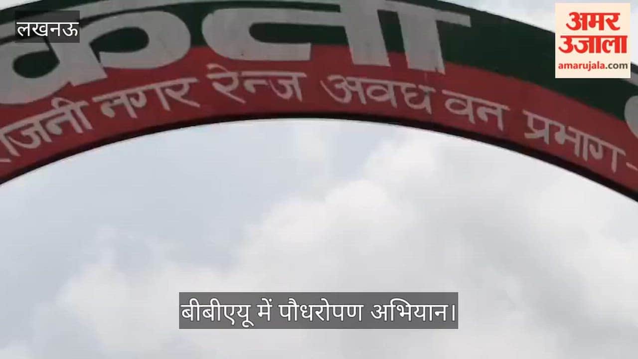 VIDEO: बीबीएयू में पौधरोपण अभियान, बीते वर्ष लगाए गए पौधे सूखे, फिर नए लगाए गए