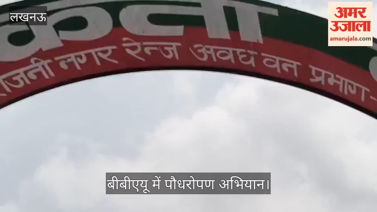 VIDEO: बीबीएयू में पौधरोपण अभियान, बीते वर्ष लगाए गए पौधे सूखे, फिर नए लगाए गए