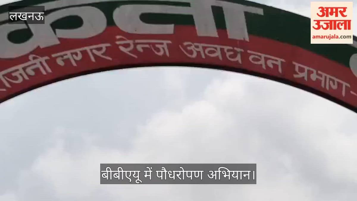 VIDEO: बीबीएयू में पौधरोपण अभियान, बीते वर्ष लगाए गए पौधे सूखे, फिर नए लगाए गए