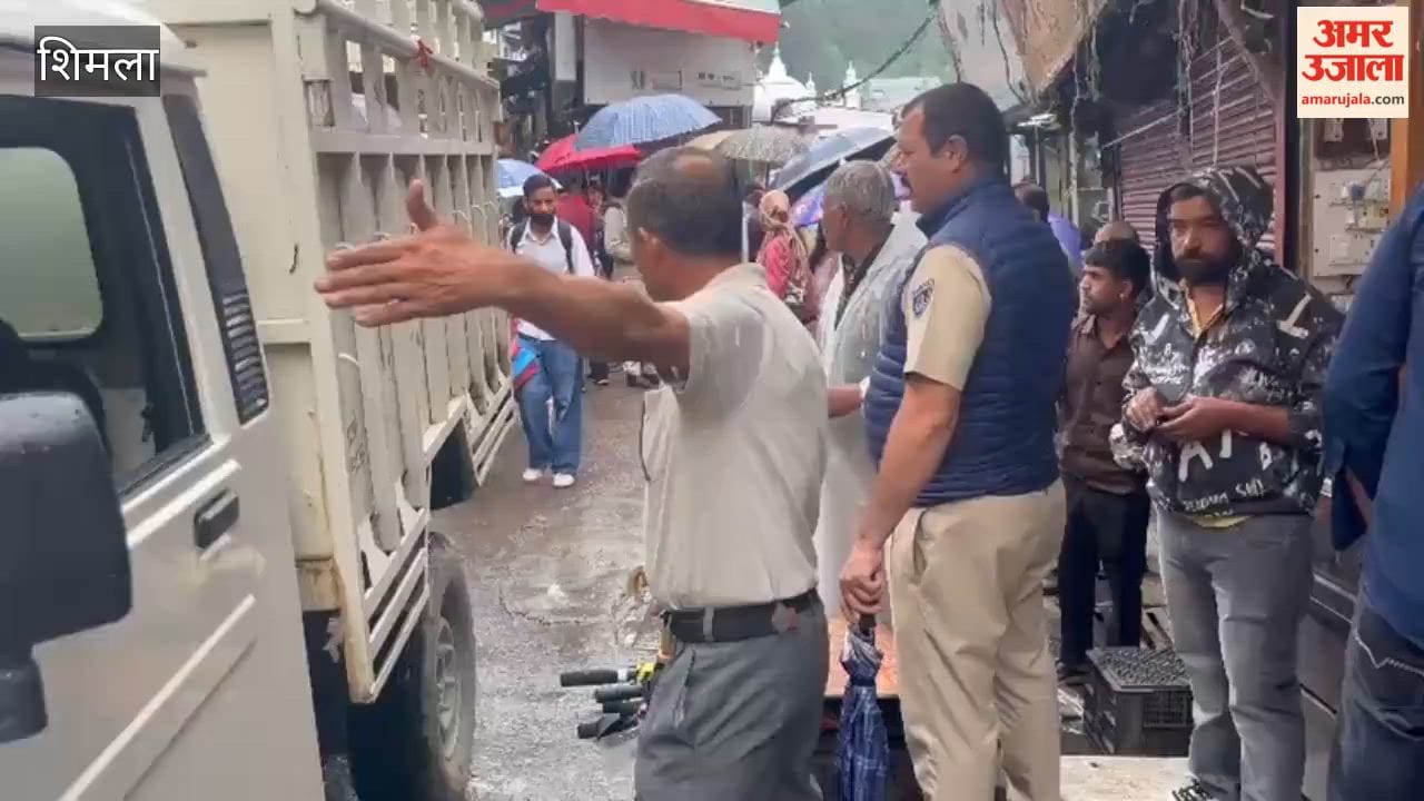 Shimla Lower Bazar News: Municipal Corporation Action Against Street Vendors, Goods Seized