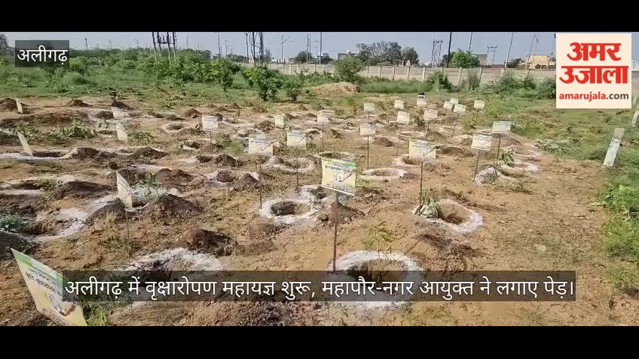 अलीगढ़ में वृक्षारोपण महायज्ञ शुरू, महापौर-नगर आयुक्त ने लगाए पेड़