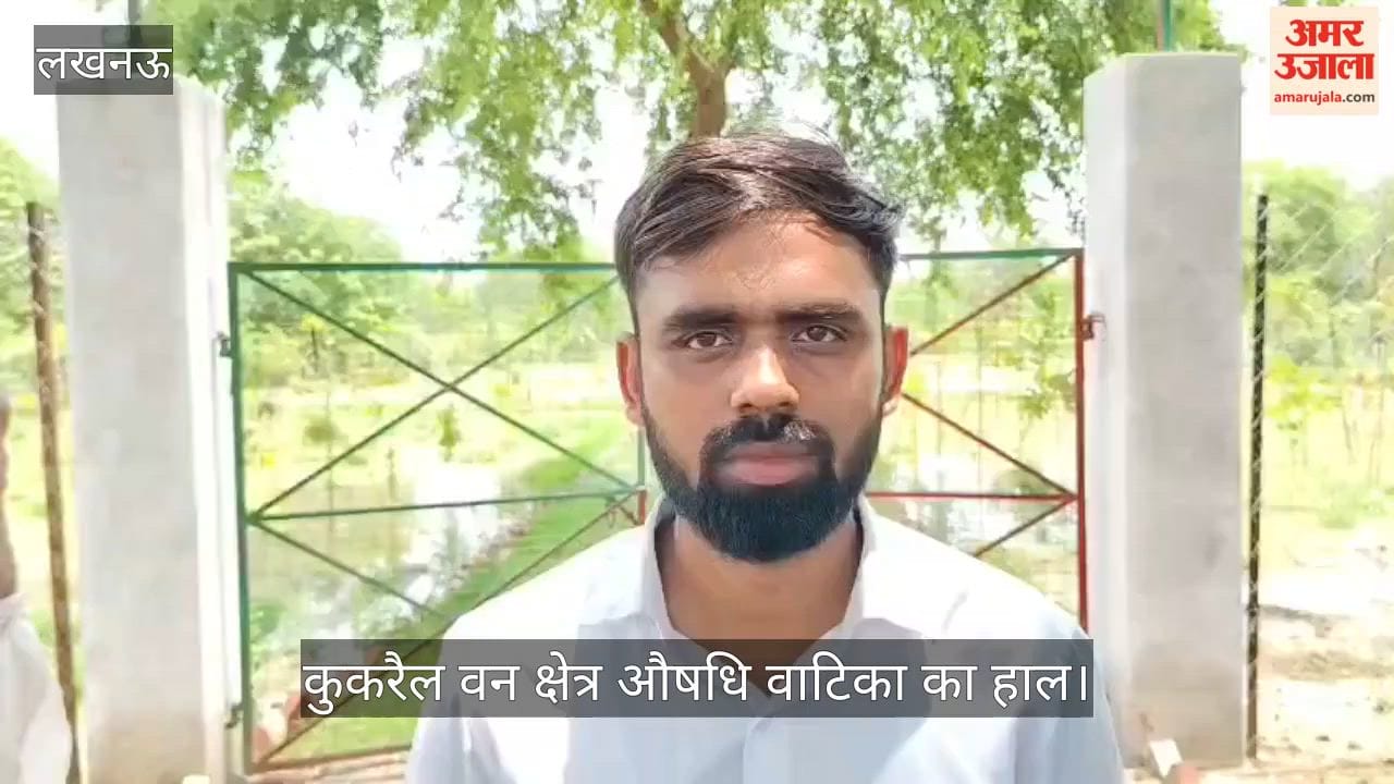 VIDEO: कुकरैल वन क्षेत्र औषधि वाटिका में भरा पानी, पेड़ हो रहे खराब