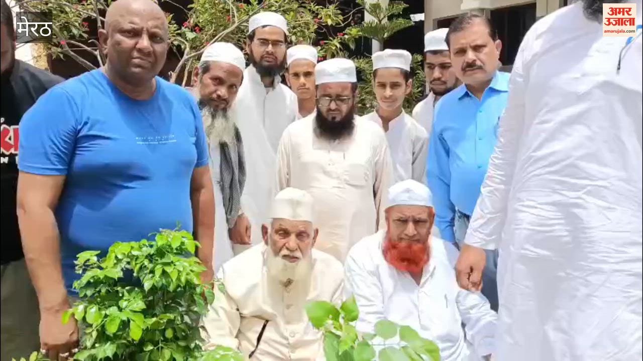 Meerut: A sapling planted in the name of 'Mother' at Madrasa Qasim-ul-Uloom.