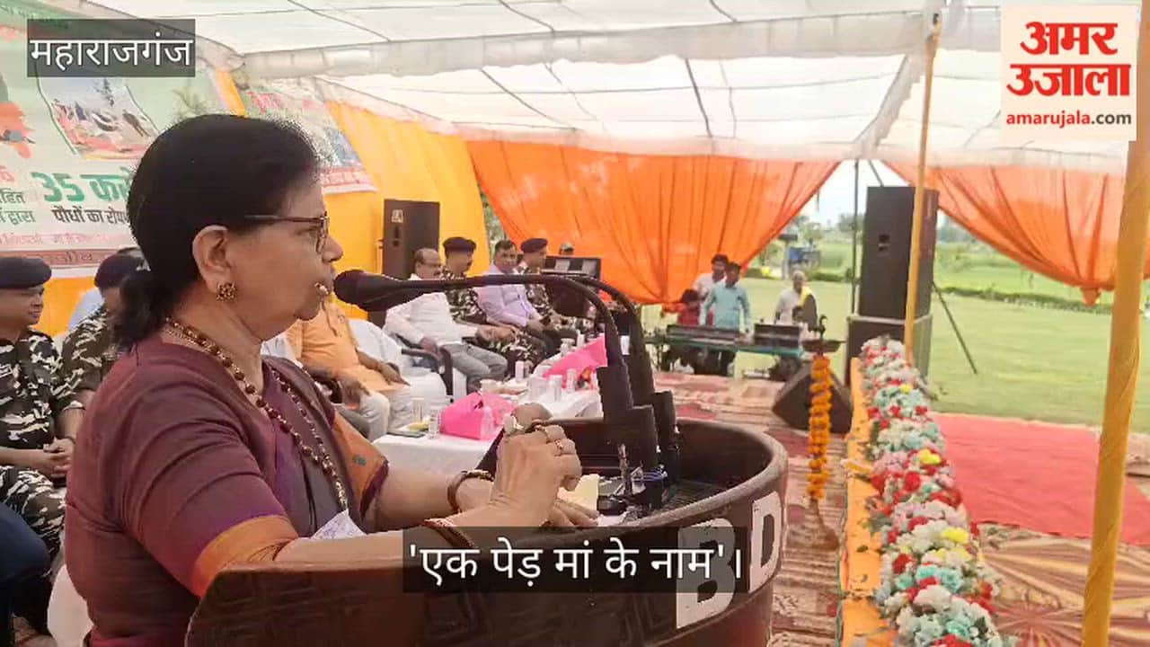 Massive plantation drive conducted in Maharajganj; 32.38 lakh saplings planted.
