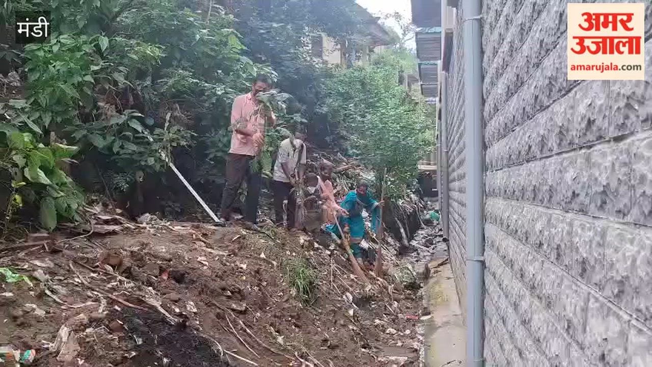 Mandi News Dharampur Nagar Panchayat to Fine People for Dumping Garbage in Open