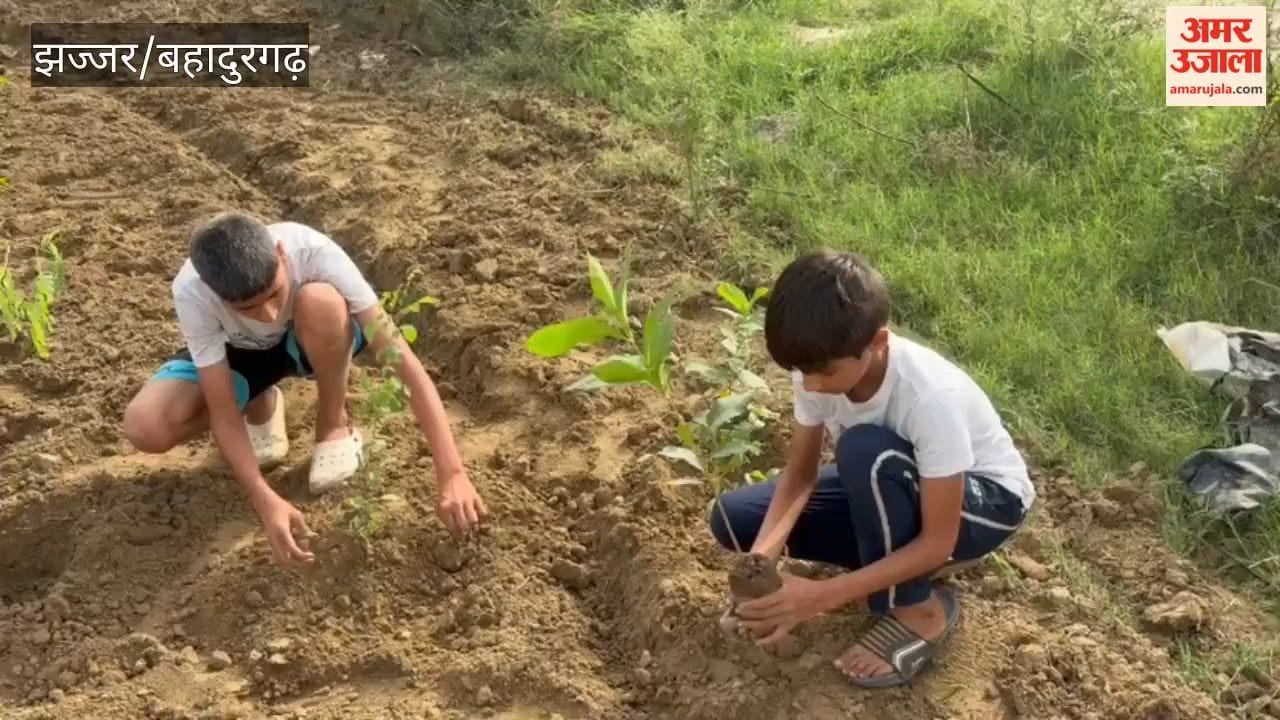 An urban forest comprising 2,000 plants will be created over one acre in Bahadurgarh using the Miyawaki technique, serving as a shield against pollution.