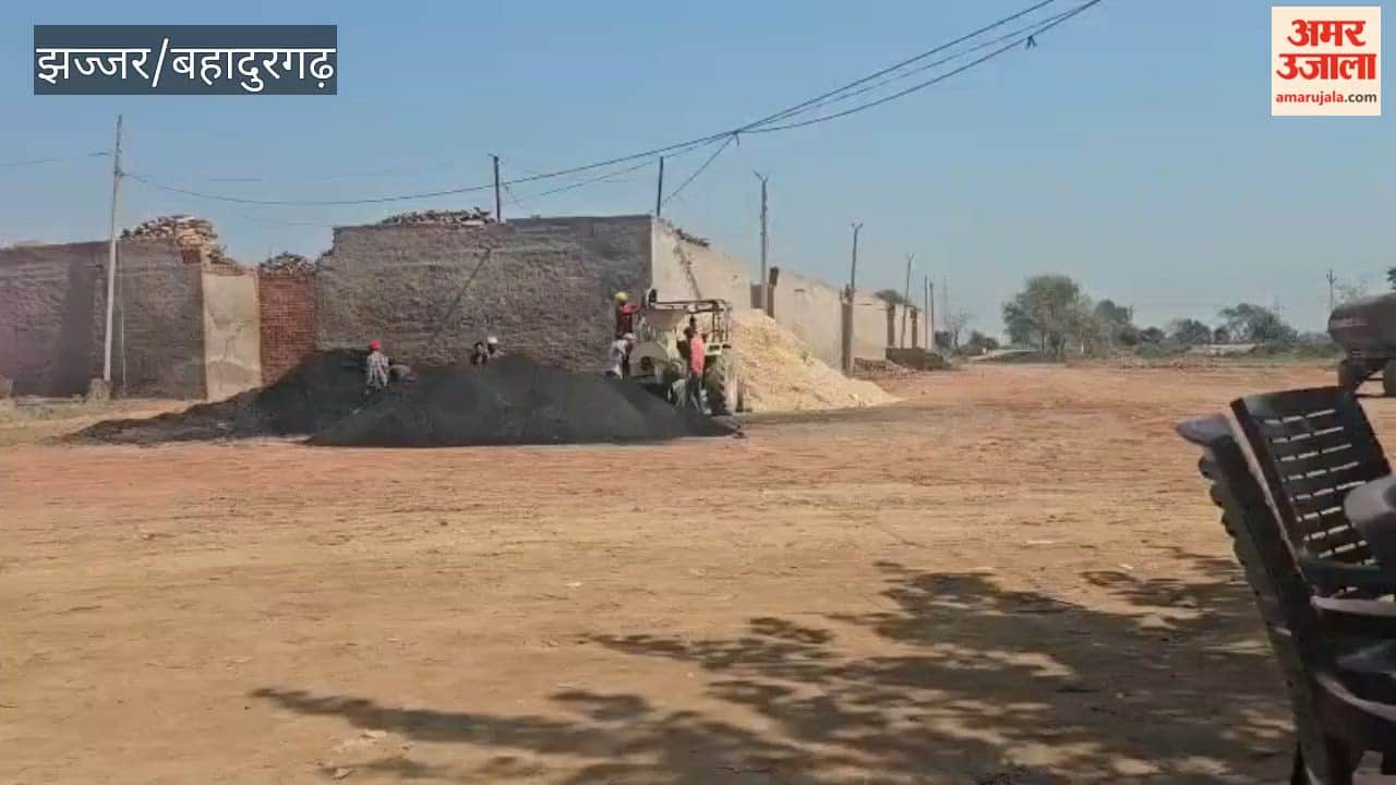 The employment landscape of Badli is transforming—shifting from brick kiln soil to Reliance; alongside traditional trades, industries, warehouses, and the property sector have become the new identity for the youth.