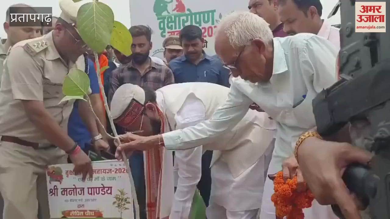 Cabinet Minister Manoj Pandey planted saplings and urged people to do the same.