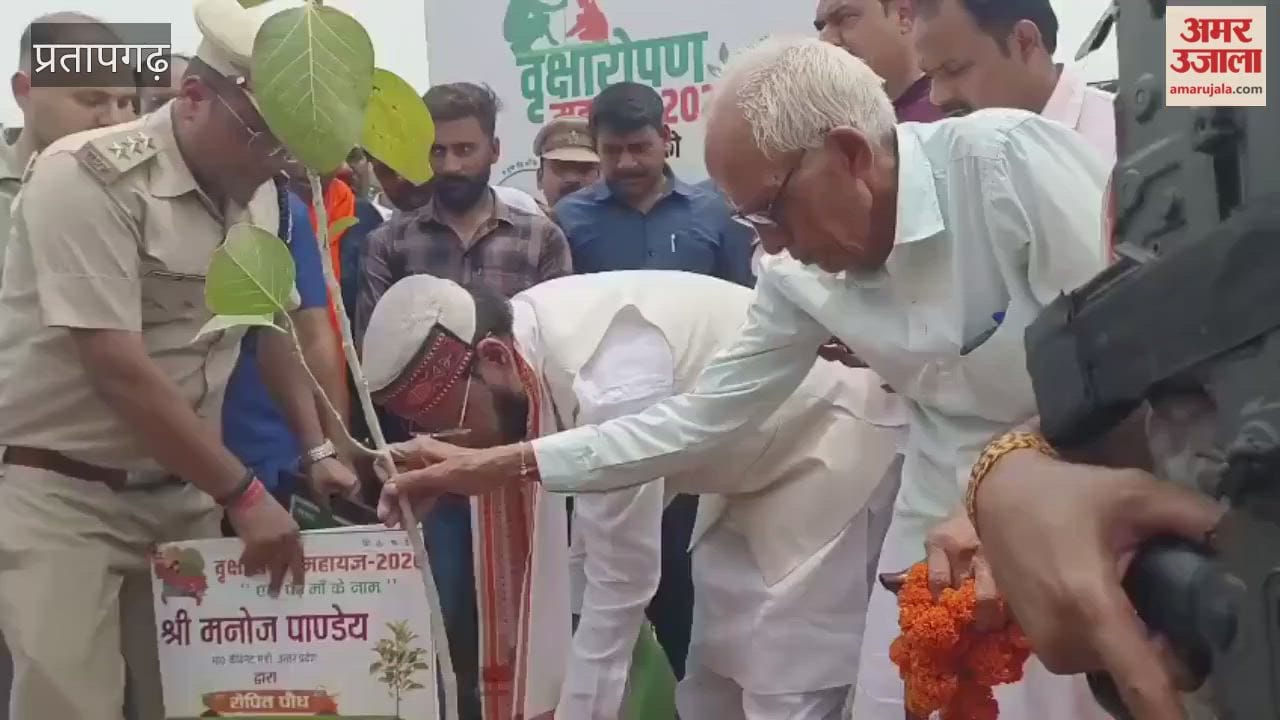 Cabinet Minister Manoj Pandey planted saplings and urged people to do the same.