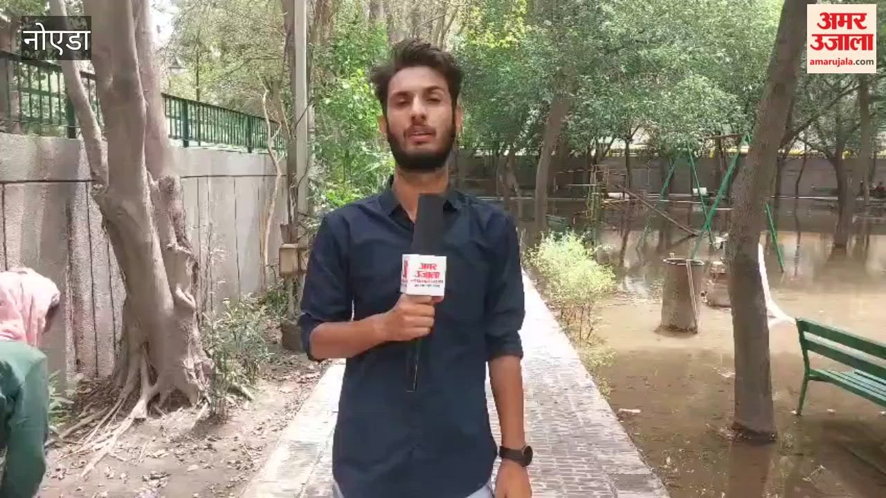 Rainwater has not yet drained from the public park in Noida
