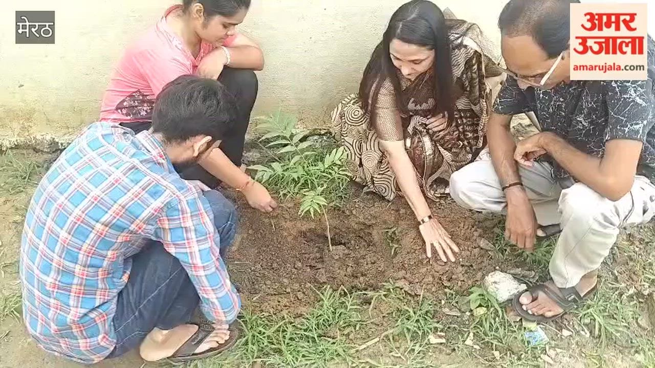 Tree plantation is the greatest need of the hour: Kalpana Pandey