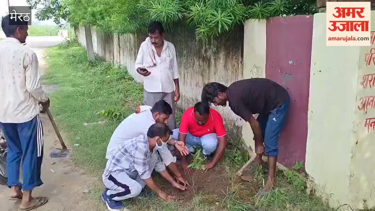 Hastinapur Nagar Panchayat receives a target of planting 5,000 saplings; 4,000 saplings planted so far.