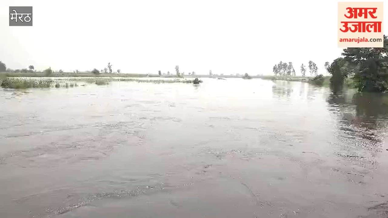 Hundreds of bighas of crops submerged due to rise in water level of Hindon River, many houses also submerged in water.