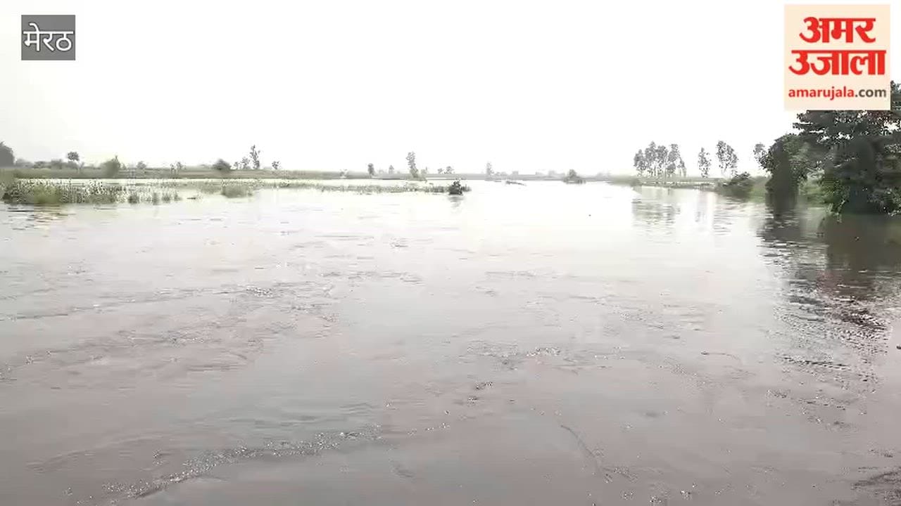 Hundreds of bighas of crops submerged due to rise in water level of Hindon River, many houses also submerged in water.